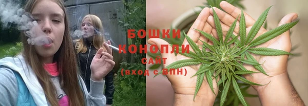 молекула духа Арсеньев