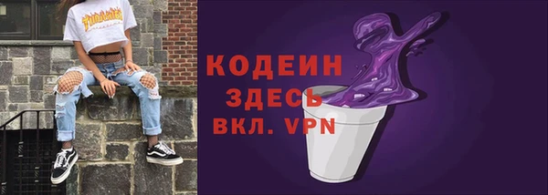 молекула духа Арсеньев