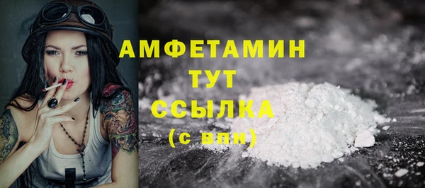 молекула духа Арсеньев