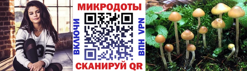 Галлюциногенные грибы MAGIC MUSHROOMS  блэк спрут сайт  Глазов  что такое  