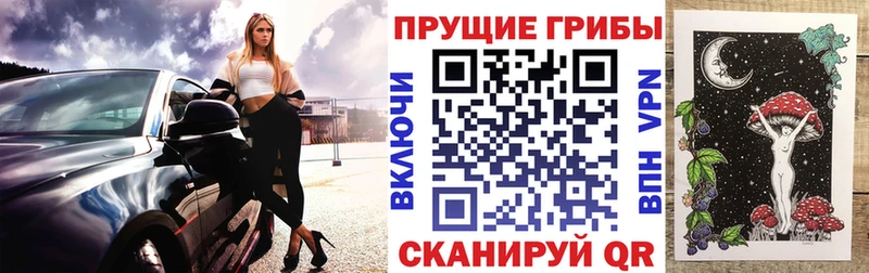 Псилоцибиновые грибы Cubensis Глазов